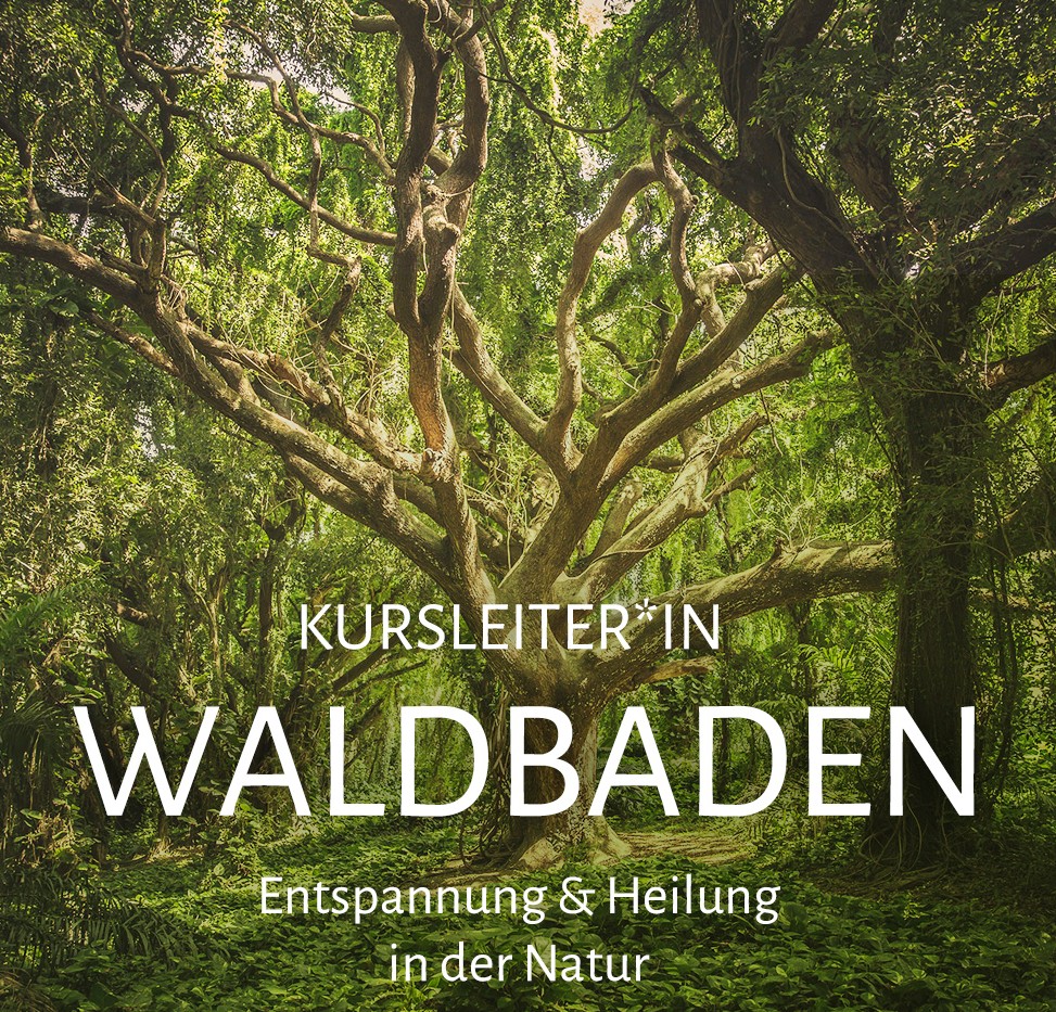Online-Ausbildung "Waldbaden und Naturtherapie"