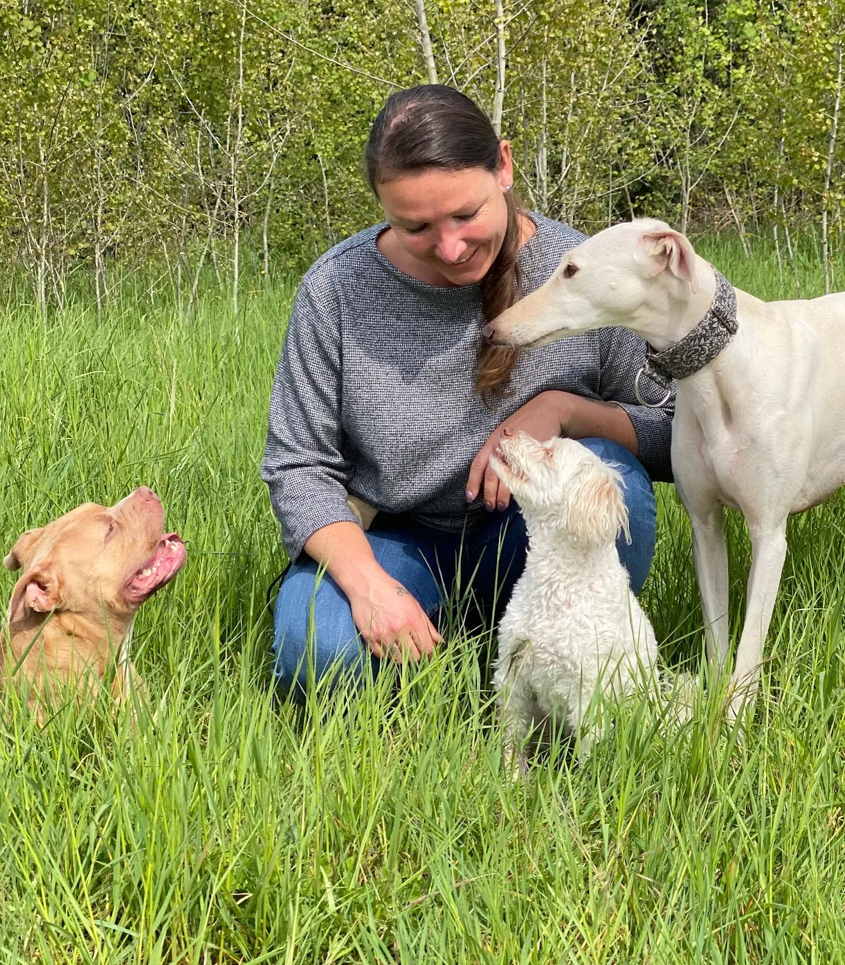 Hundetraining mit Erfolg